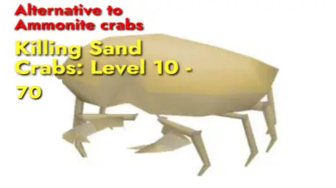Sand crabs: Alternative to Ammonite crabs