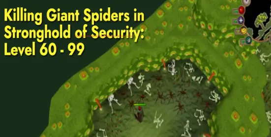 Killing Giant spiders in Stronghold of Security from Level 60 - 99