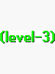 level 3 account