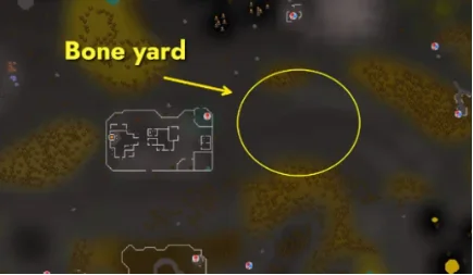 bone yard.webp bone yard