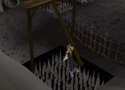 rope swing.webp rope swing