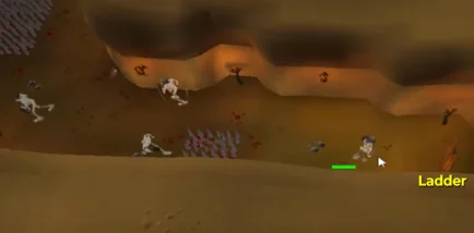 wilderness agility underground.webp wilderness agility underground