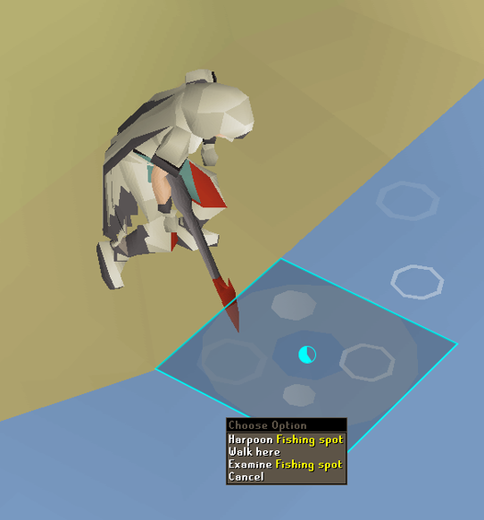 double fishing spot.webp