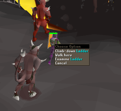 kbd entrance ladder - deep wilderness.webp