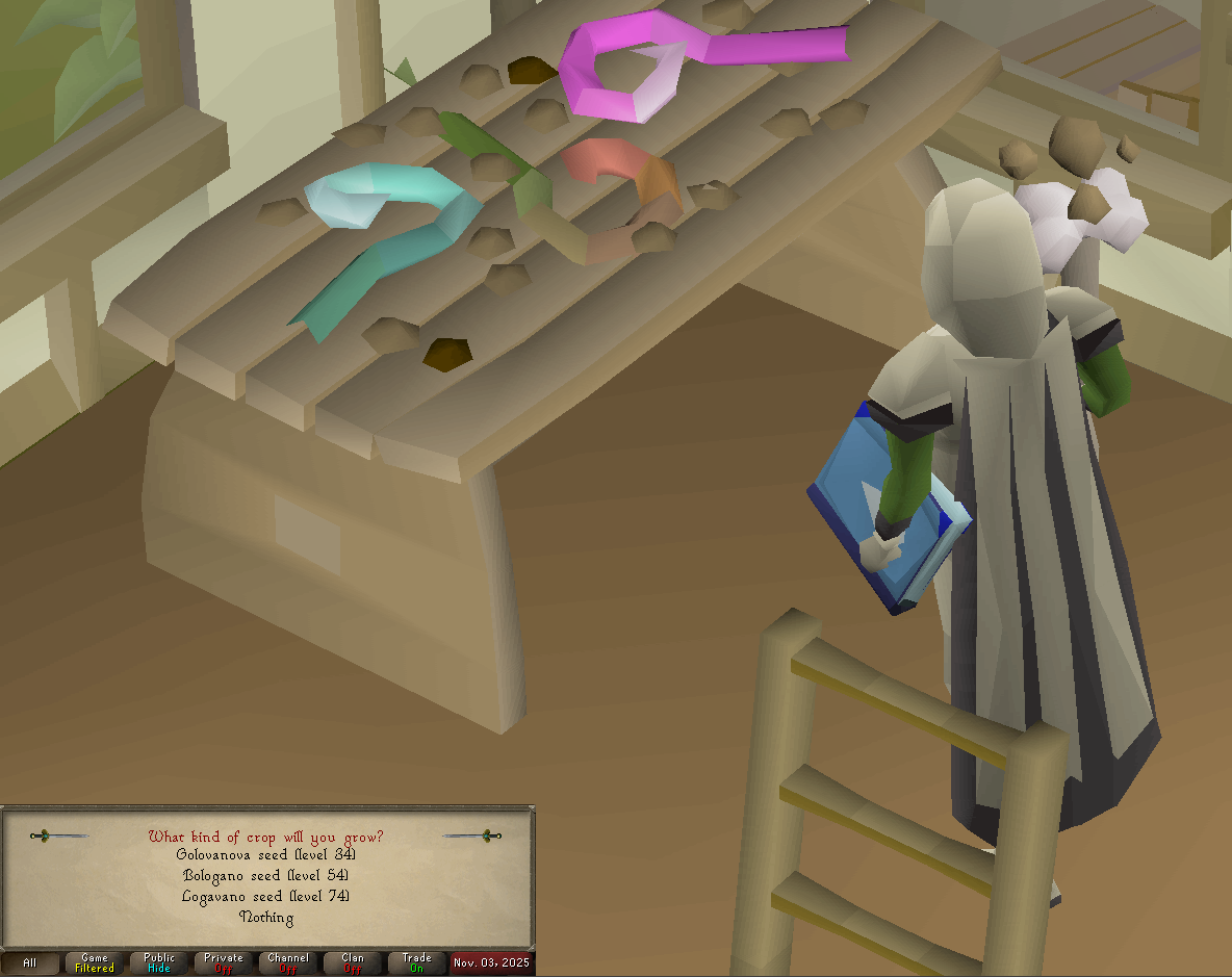 taking tithe seeds to start.webp