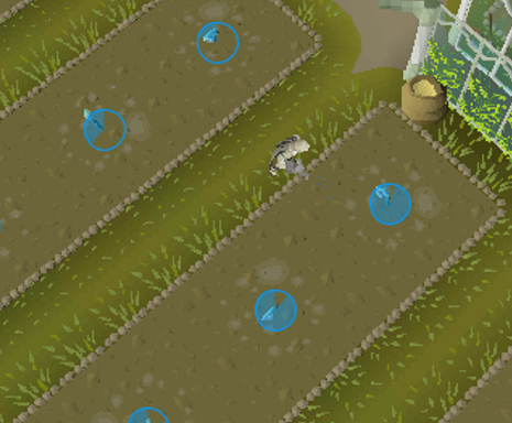 Watering Phases in tithe farm.webp