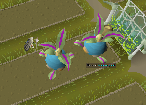 Harvesting plants at tithe farm