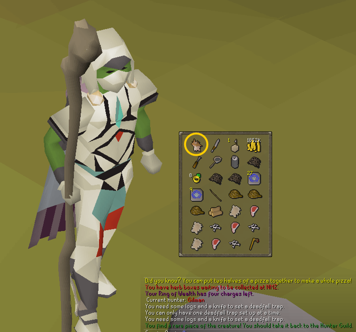 getting special item in hunter rumours.webp