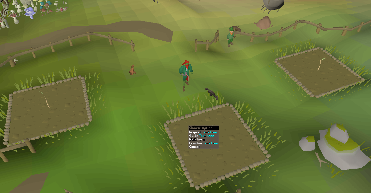 planting teak trees in fossil island for p2p woodcutting guide.webp