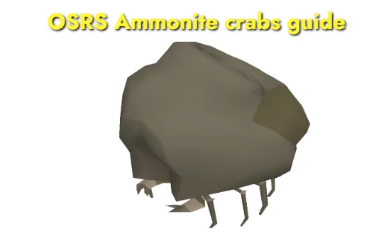 OSRS Ammonite Crabs Guide: XP Rates & Aggroing